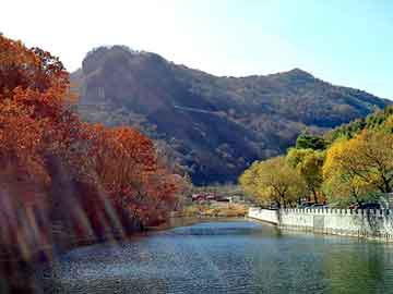 新澳天天开奖资料大全旅游团，奶牛的梦